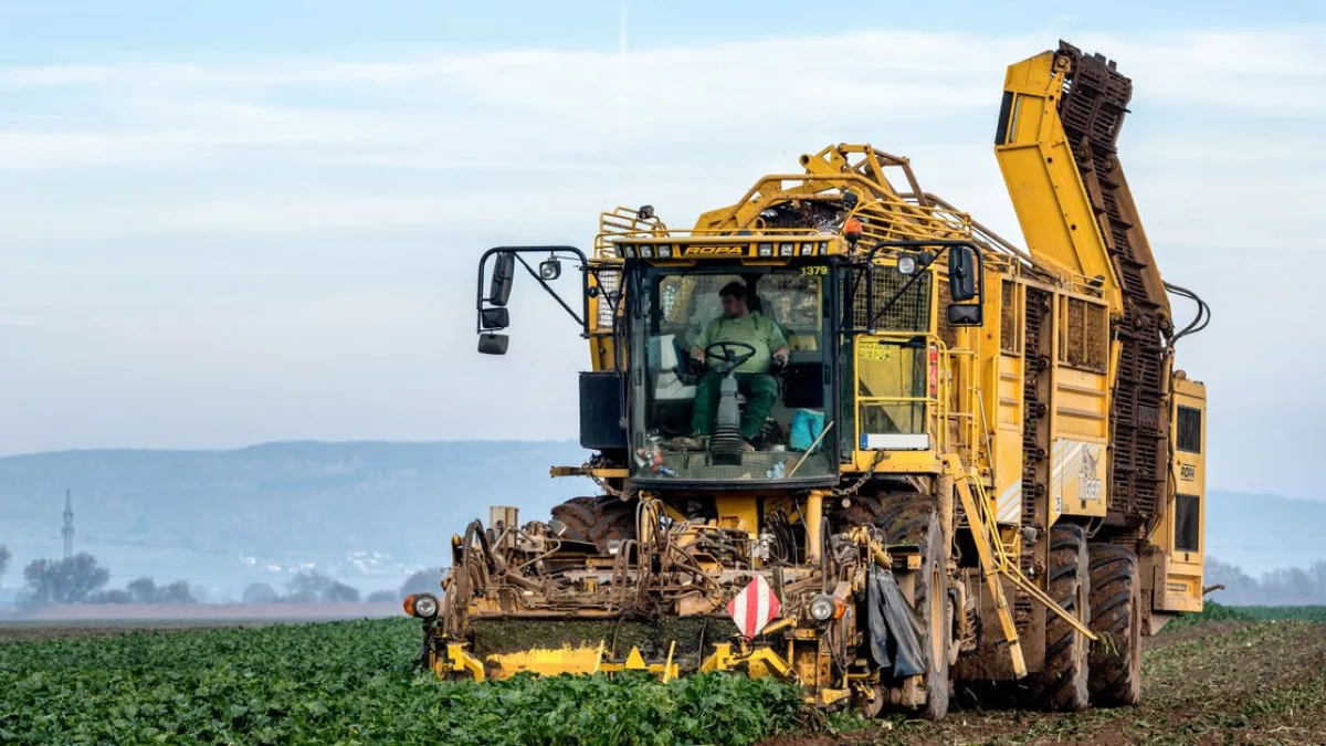 Hobi Olarak Başladılar, Yılda 70 Ton Hasat Elde Ediyorlar