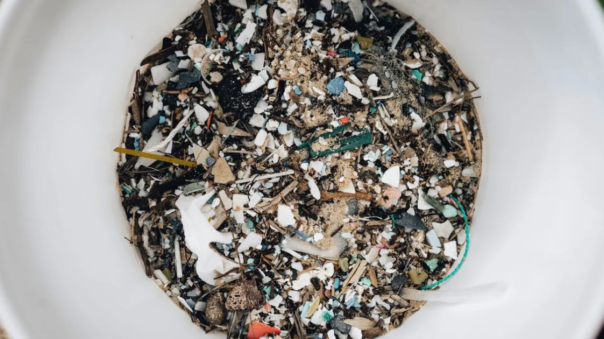 Mutfak Süngerleri Mikroplastik Tehlikesi Oluşturuyor