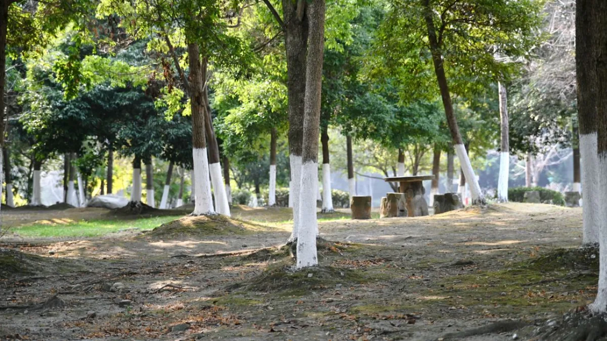 Adana'da Aşırı Sıcaklar Termometreyi Arızaladı, Vatandaşlar Gölgelik Alanlara Sığındı